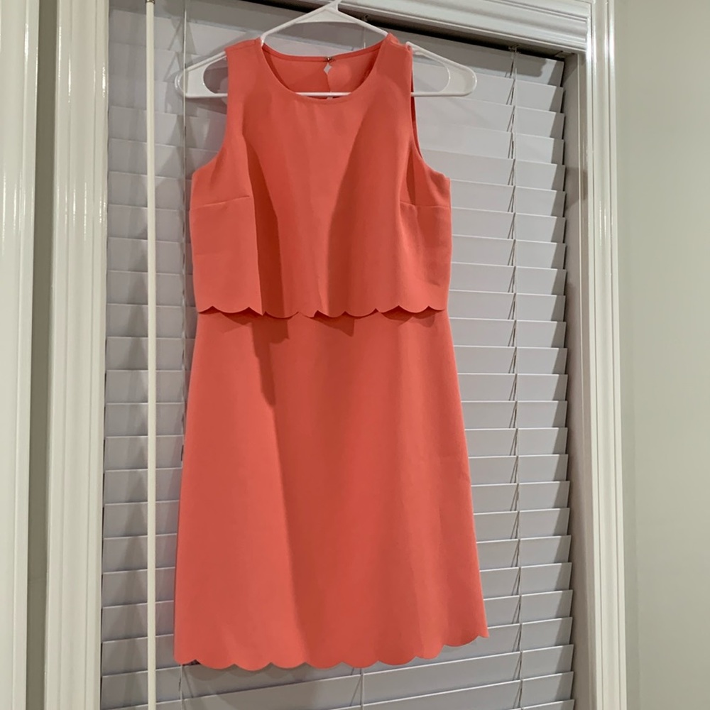 Ann Taylor LOFT Coral Sleeveless Scalloped Vented Back Sheath Dress
